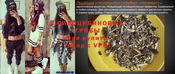 apvp Балахна