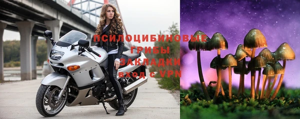 apvp Балахна