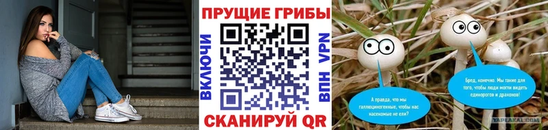 Псилоцибиновые грибы мухоморы  Спасск-Дальний 